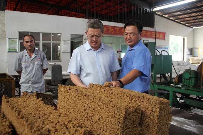 ����yl23455����