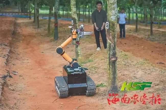 ����yl23455����