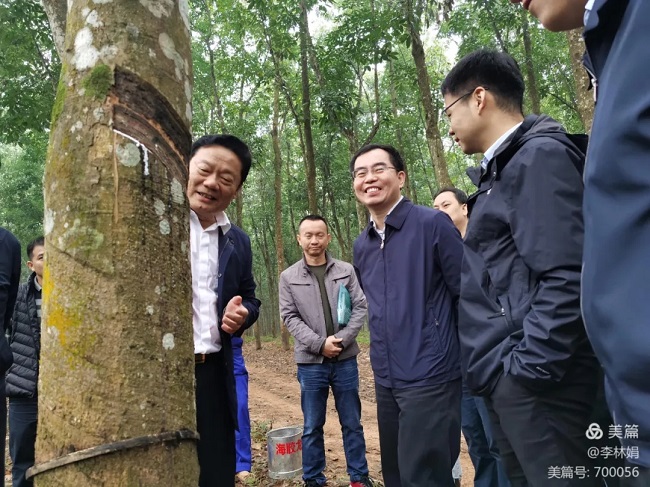 ����yl23455����