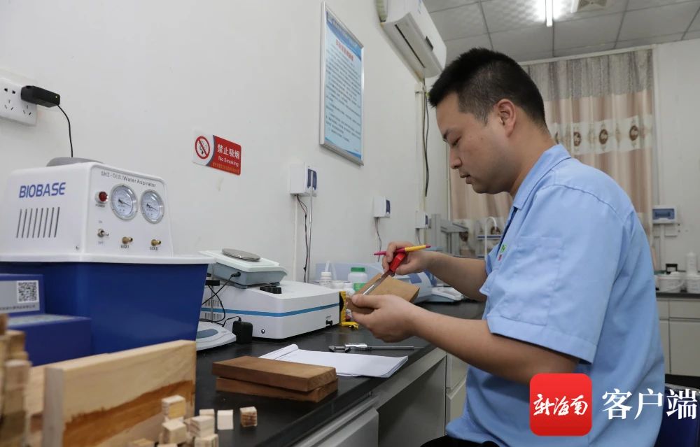 ����yl23455����