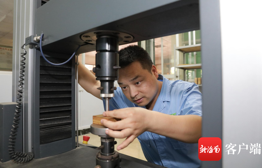 ����yl23455����