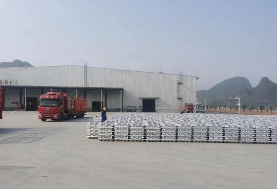 ����yl23455����