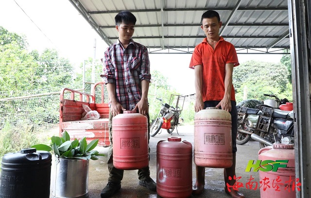 ����yl23455����