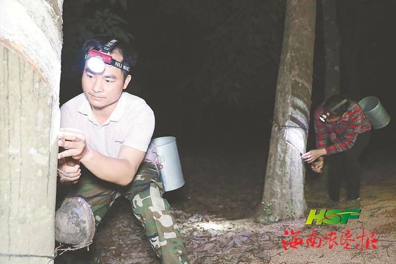 ����yl23455����