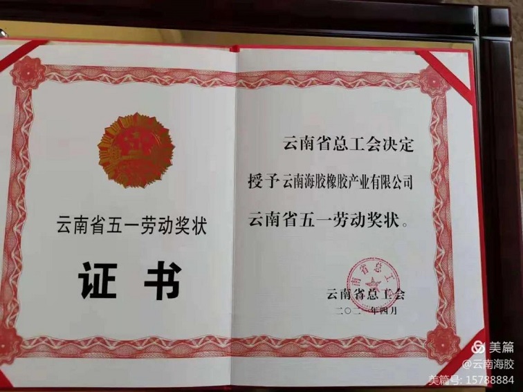 ����yl23455����