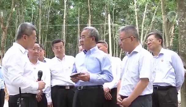 ����yl23455����