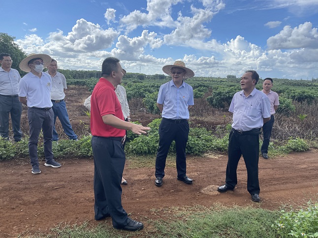 ����yl23455����