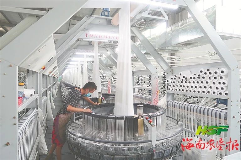 ����yl23455����