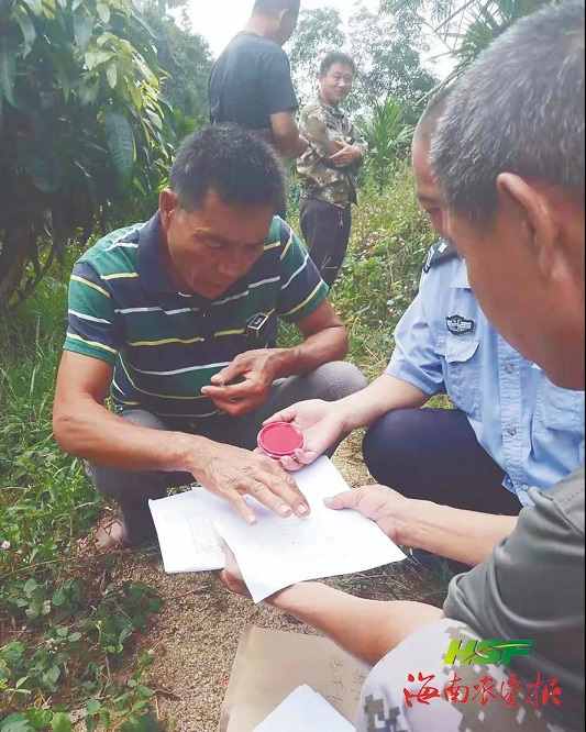 ����yl23455����