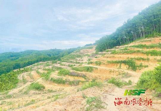 ����yl23455����