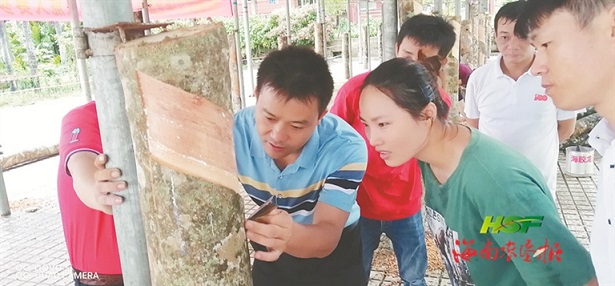 ����yl23455����