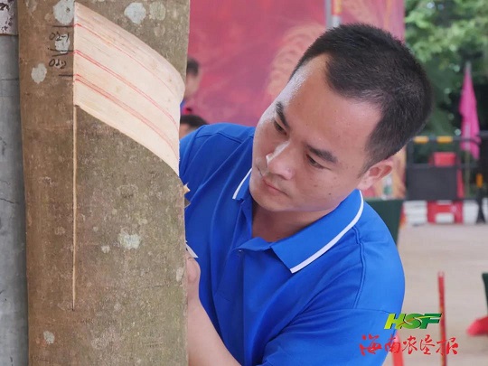 ����yl23455����