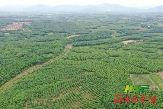 ����yl23455����