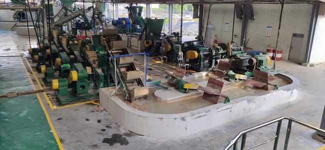 ����yl23455����