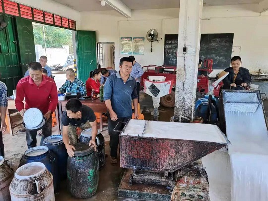 ����yl23455����