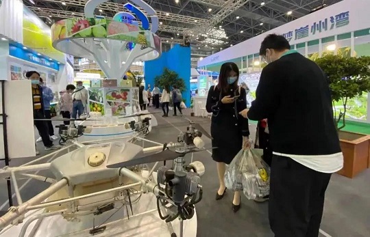 ����yl23455����