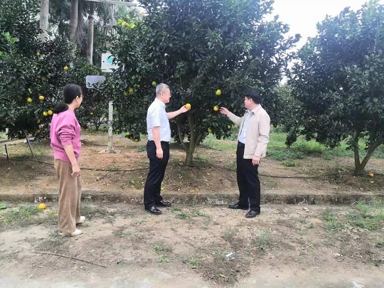 ����yl23455����