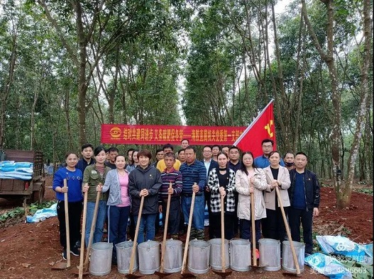 ����yl23455����