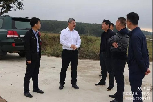 ����yl23455����