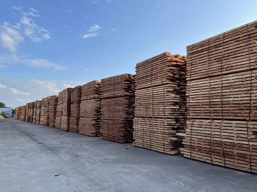 ����yl23455����