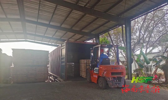 ����yl23455����