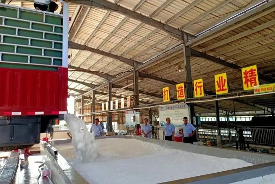 ����yl23455����