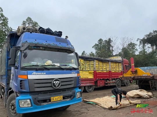 ����yl23455����