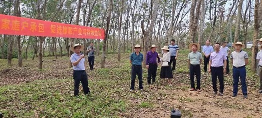 ����yl23455����