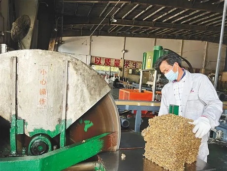 ����yl23455����