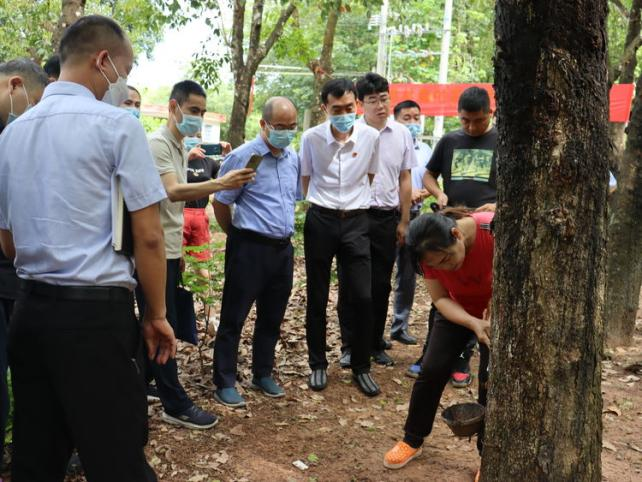 ����yl23455����