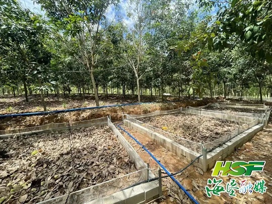 ����yl23455����