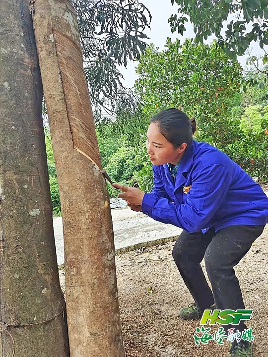 ����yl23455����