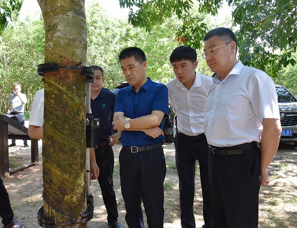 ����yl23455����