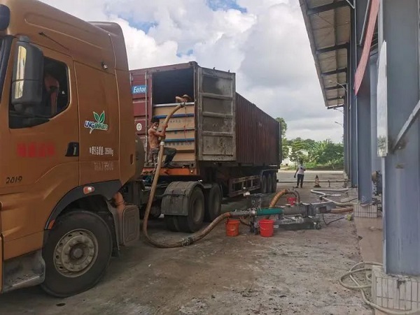 ����yl23455����