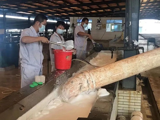 ����yl23455����