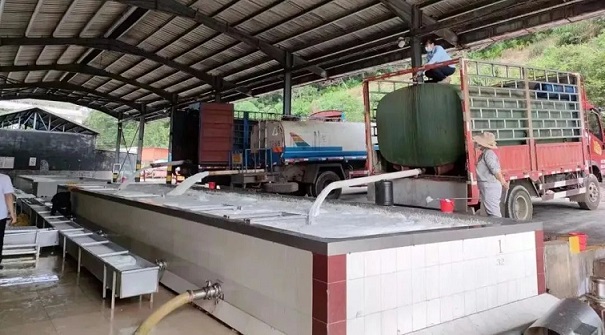 ����yl23455����