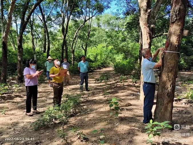 ����yl23455����