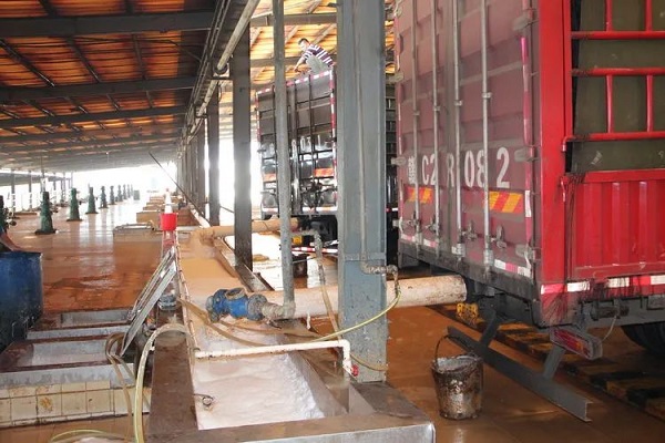 ����yl23455����