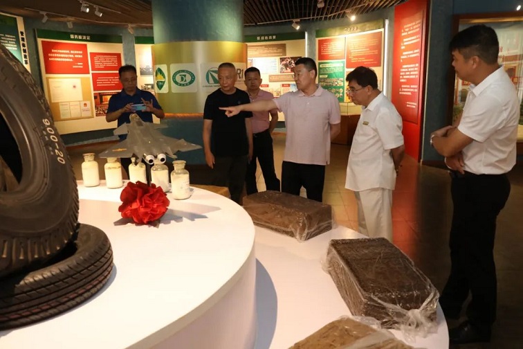 ����yl23455����