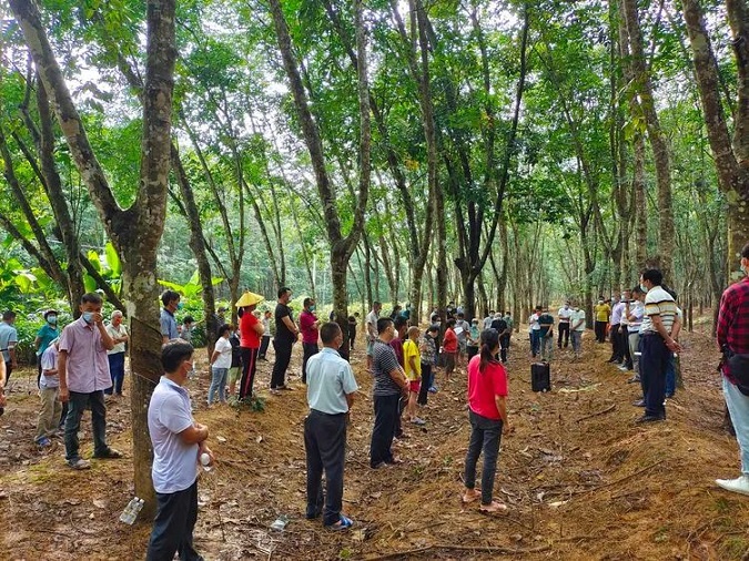 ����yl23455����