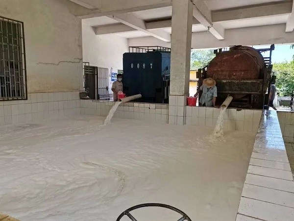 ����yl23455����