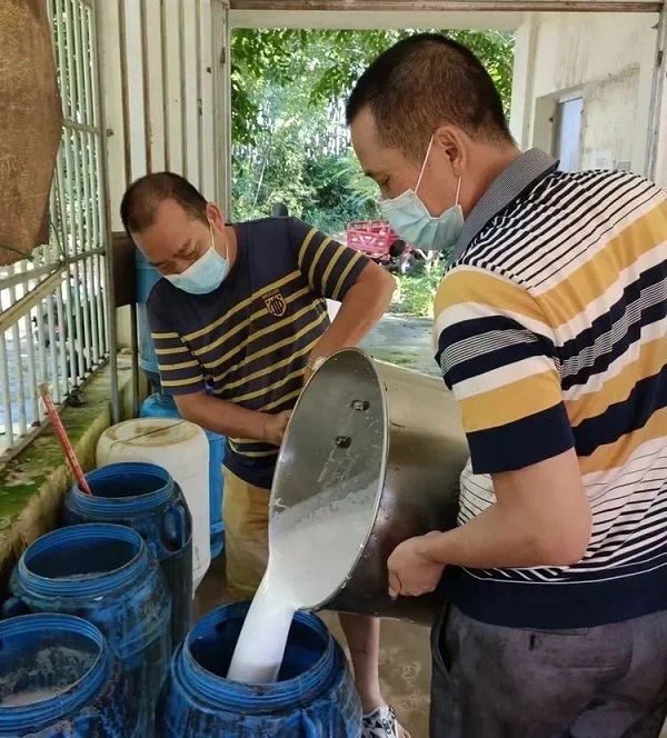 ����yl23455����