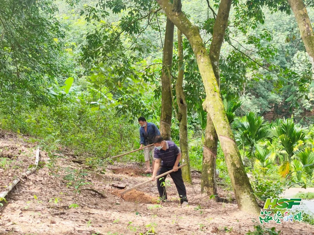 ����yl23455����