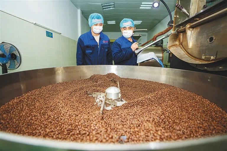 ����yl23455����