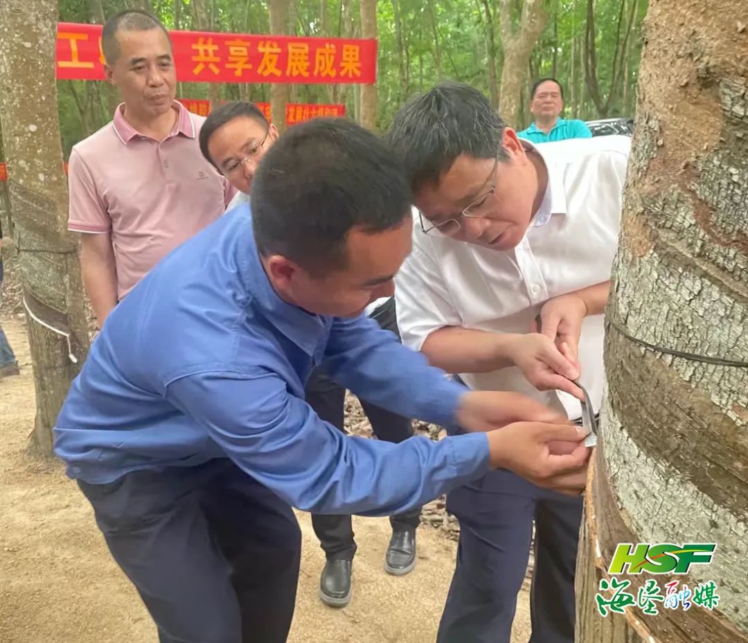 ����yl23455����