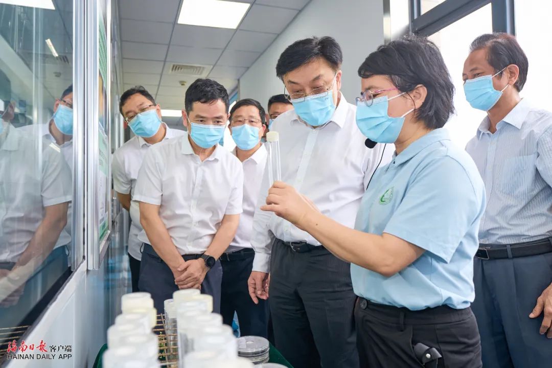 ����yl23455����