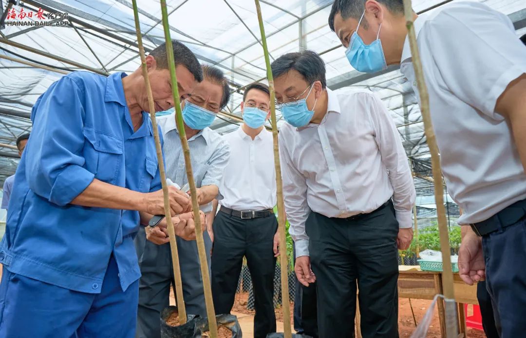 ����yl23455����