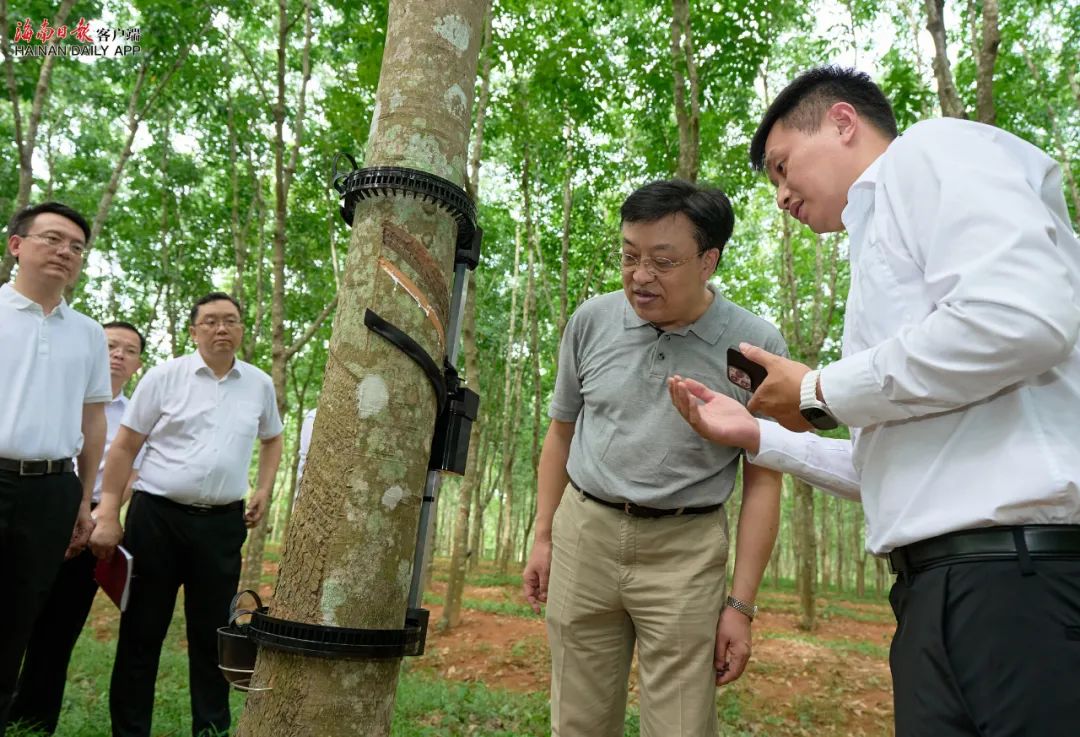 ����yl23455����