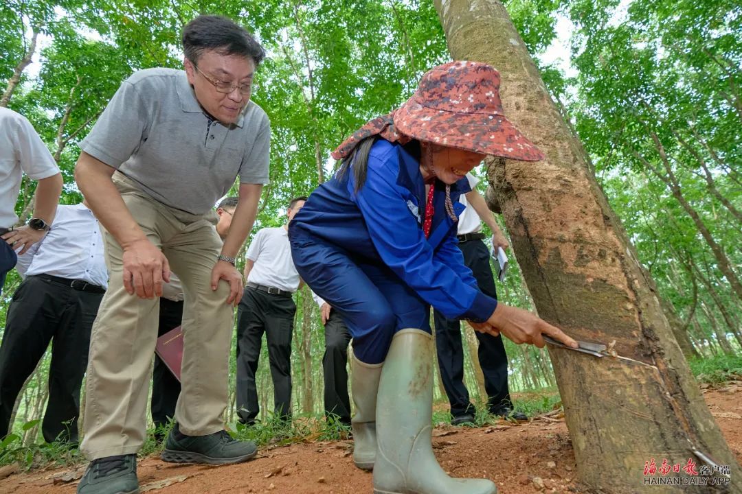 ����yl23455����