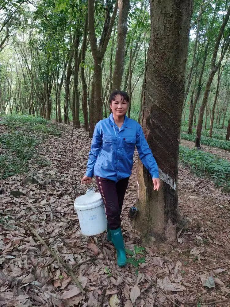 ����yl23455����